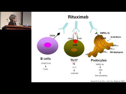 Видео: 19.02.2017 - Ритуксимаб в лечении нефротического синдрома