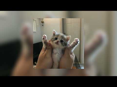 Видео: Милана Хаметова & Милана Star - ЛП (slowed song)