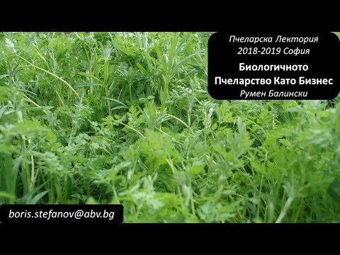 Видео: Лектория 2018-2019 - София - 13.12.2018 - Биологичното Пчеларство Като Бизнес - Румен Балински