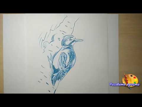 Видео: Учимся рисовать любую птицу за 5 минут(наброски,скетчи)