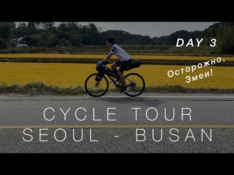 Видео: 700 км на велике из Сеула в Пусан  День 3  | Cycle tour Seoul - Busan Part 3