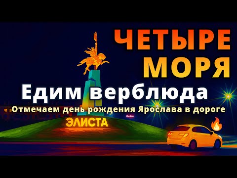 Видео: Едим верблюда 🐫 День рождения в дороге! 🎂 Лучшие кафе Волгограда и Элисты! 🍽️🚗