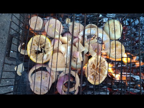 Видео: В селе у СВЕКРУНЬКИ  / 2 часть /