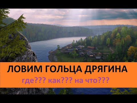 Видео: КАК ЛОВИТЬ ГОЛЬЦА ДРЯГИНА НА ТУНГУСКЕ  ?  ОТВЕТ В ВИДЕО.