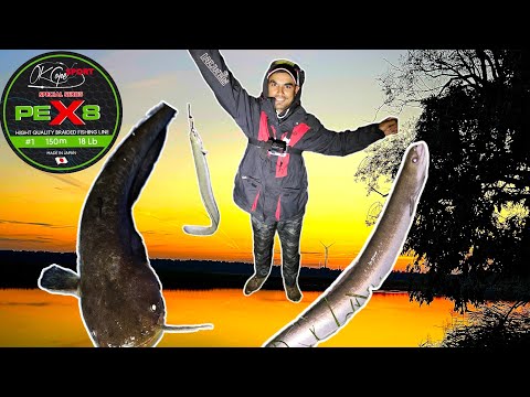 Видео: ловля ночью угря и сомика в Латвии !!! Проверяем качество рыболовного шнура OK COPE SPORT PE X8 150m