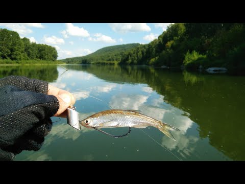 Видео: НА ДЕДОВСКИЙ МЕТОД. Спиннинг Отдыхает. РЫБАЛКА на Снасточку. Ловля ЩУКИ