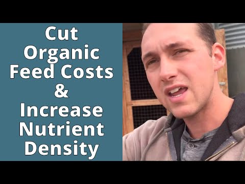 Видео: Как я объединяю свиней, кур и молочных коров в одну систему