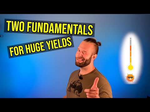 Видео: Давайте поговорим о температуре и влажности воздуха в вашем помещении для выращивания растений