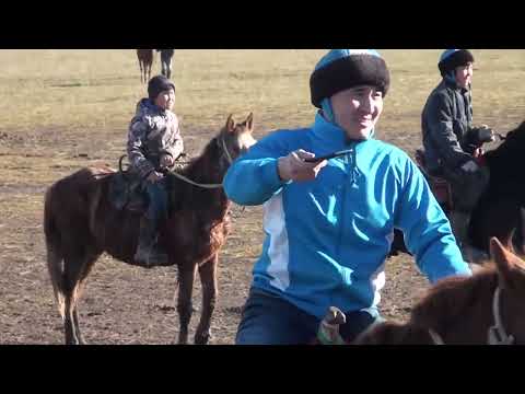 Видео: Ордабасы ауданы Жусансай ауылы Даурен мырзанын елден бата алу кокпары 05 01 2023 Жусансай көкпары