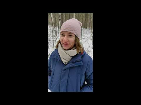 Видео: СОСНОВЫЙ БОР ЧЕЛЯБИНСК