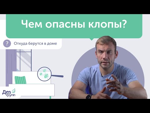 Видео: Чем опасны постельные клопы? Уничтожение и обработка от клопов