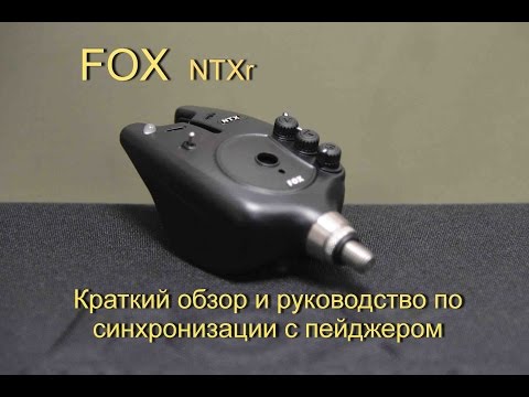 Видео: FOX  NTXr сигнализаторы поклевки