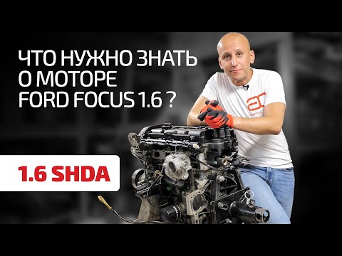 Видео: Можно ли брать Ford с 1.6-литровым атмосферником?