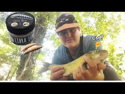 Видео: Ловя кефали на Libra lures! хванах кефал колкото кепа! Риболов на кефал на р.Тунджа 