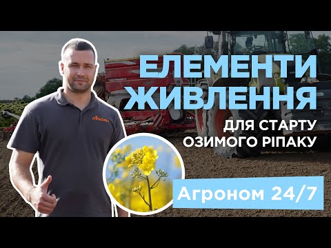 Видео: Як отримати високий врожай ріпаку? Живлення для гарного старту - Агроном 24/7