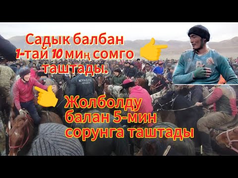 Видео: Бөрү айылында өткөн Алам улакда Садык балбан 1 тай 10 миң сом таштады 👍🐎🔥