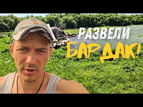 Видео: Развели бардак везде I День сурка в деревне