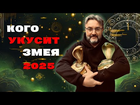 Видео: Кого ждут неудачи в 2025? И кто станет самым успешным в Год Зелёной Змеи?