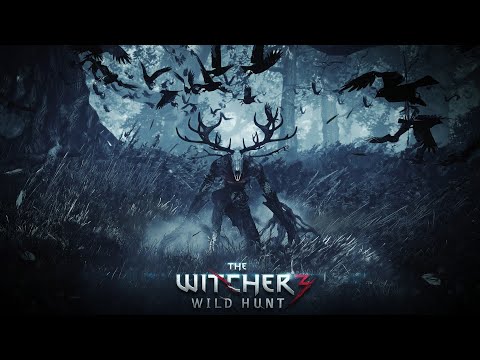Видео: Ведьмак 3: Дикая Охота | Прохождение ▶ Новое начало №48 (Сложность на смерть)