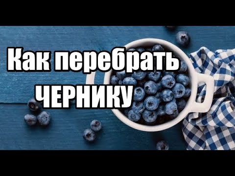 Видео: Как Перебрать Чернику Быстро от листьев и мусора. Лайфхак.