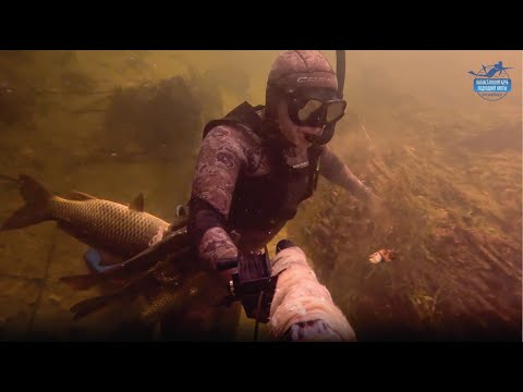 Видео: Прибалхашье, Байменей подводная охота, июнь 2025 год