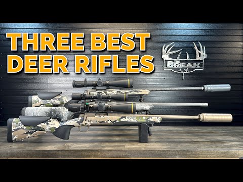 Видео: Лучшие винтовки для охоты на оленей