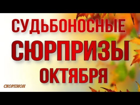 Видео: ♥️ СКОРПИОН  ♥️,♏️, СУДЬБОНОСНЫЕ 🕊️СЮРПРИЗЫ 🍁🍂 ОКТЯБРЯ, Таро, прогнозы, гороскопы, скорпион октябрь,