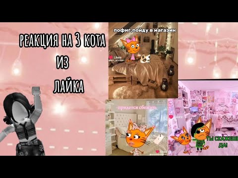 Видео: РЕАКЦИЯ НА 3 КОТА ИЗ ЛАЙКА?!/НАКАЗАНИЕ СТАТЬ КВАДРОБЕРОМ? ПРИДЁТСЯ СБЕЖАТЬ?