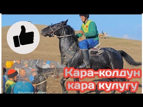 Видео: Кара колдун кара аты улакта