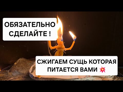 Видео: 🪐 Сжигаем сущь которая портит вам жизнь, питается вашей энергией, а вас тянет в низ.