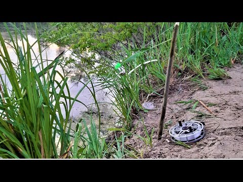 Видео: ЛОВЛЯ КАРАСЯ на РЕЗИНКУ РЫБАЛКА из ДЕТСТВА