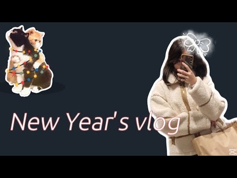 Видео: НОВОГОДНИЙ ВЛОГ!!У НАС НЕ ВЗЛЕТЕЛ САЛЮТ И ВЗОРВАЛСЯ ?? New Year's vlog!!