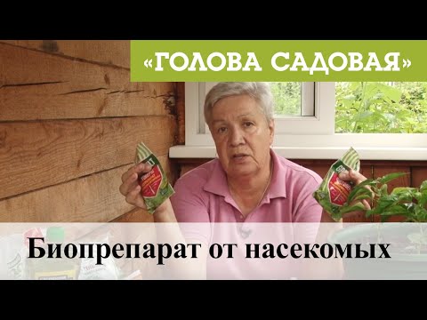 Видео: Голова садовая - Биопрепарат от насекомых