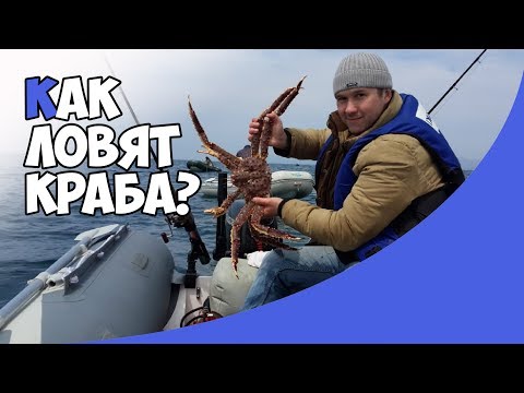 Видео: 🦀Как ловят краба? | Репортаж из Владивостока