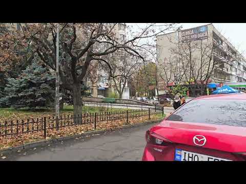 Видео: На Московском проспекте 12.(10.11.25).