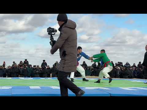 Видео: Зураат байрам Гурес архан тартыс кошкар дугис Ипподром 15-12-2024