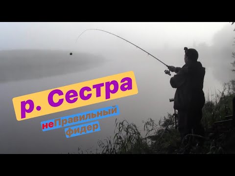 Видео: Рыбалка на реке Сестра. Фидер. Красивая река. "Большой" лещ.