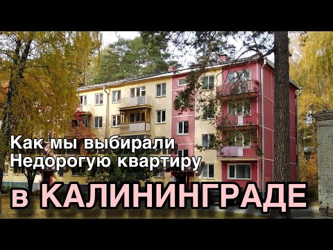 Видео: Как мы выбирали недорогую квартиру в Калининграде.