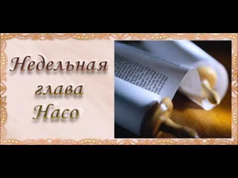 Видео: Глава Насо  5785.  РЕШЕНИЕ ПЛИШТИМСКОЙ ПРОБЛЕМЫ.