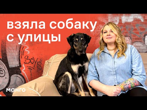 Видео: Взяла собаку с улицы, что делать, как воспитывать