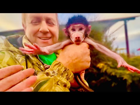 Видео: Нам УДАЛОСЬ ЗАБРАТЬ малыша у нерадивой  Люськиной матери, но оказалось что это НЕ ТОТ МАЛЫШ!!!