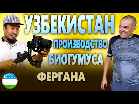 Видео: Узбекистан //// Производство биогумуса