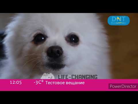 Видео: Тестовое вещание (22.01.2022)