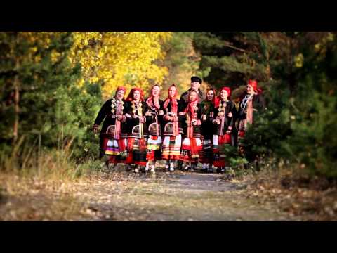 Видео: Дева,дева, что с тобою. Ансамбль Воля (Воронеж) 2014