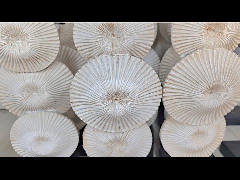 Видео: 💥ФИКС ПРАЙС💥ПРОИЗВОДИТ ФУРОР!😨Горы посуды из Ирана и Китая!📣Новинки в Лемана про😍Обзор август 2025