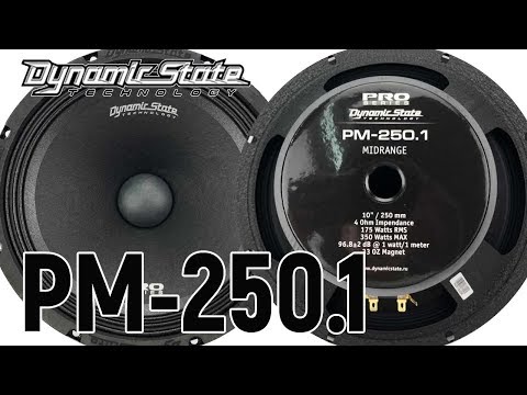 Видео: Dynamic State PM-250.1 PRO Series обзор, сравнение, прослушка с рупорам, с серединами, отзыв