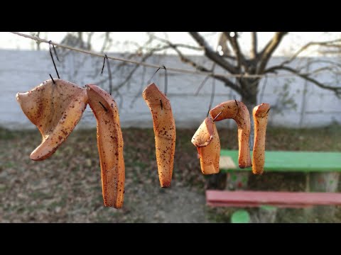 Видео: Проще некуда, кальмар горячего копчения