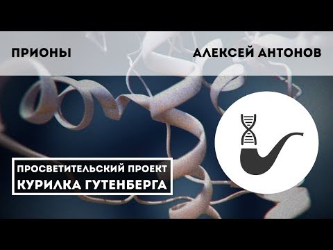 Видео: Новые инфекции. Прионы - что это такое? – Алексей Антонов