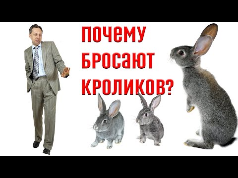 Видео: Почему люди бросают кроликов?