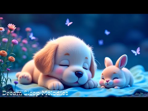 Видео: Никакой рекламы – Deep Sleep Piano для успокоения депрессии, снятия стресса и погружения в состояние